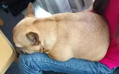 老人猛得挺进莹莹身体视频